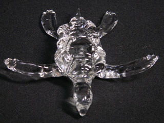 090530_kame03.jpg