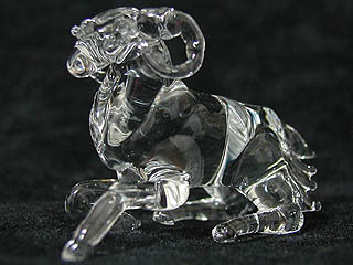 aries3_320.jpg