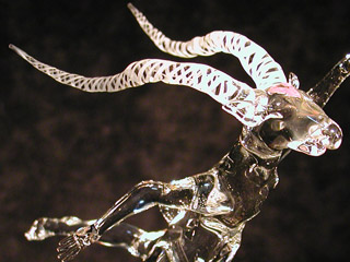 c_db01_320.jpg