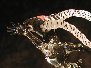 c_db07_320.jpg