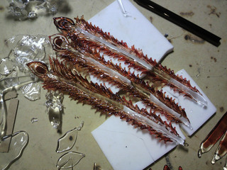 hane02.jpg