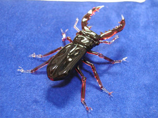kuwa_c_05.jpg