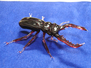 kuwa_c_06.jpg