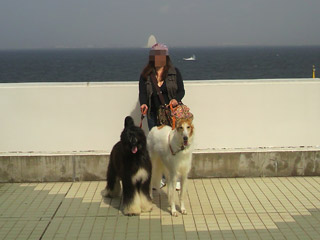 umihotaru03.jpg